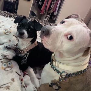 Meet your Posher, Andres